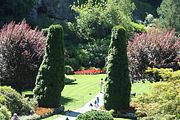24 - Butchard Gardens  - IMG_1601